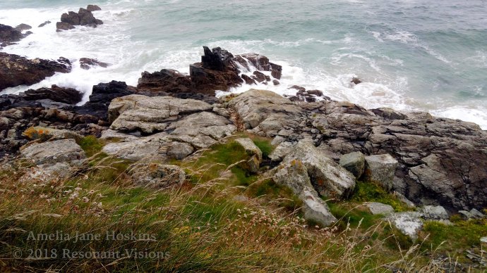 Transition from thrift path over dry rocks to brown tidal rocks and waves breaking